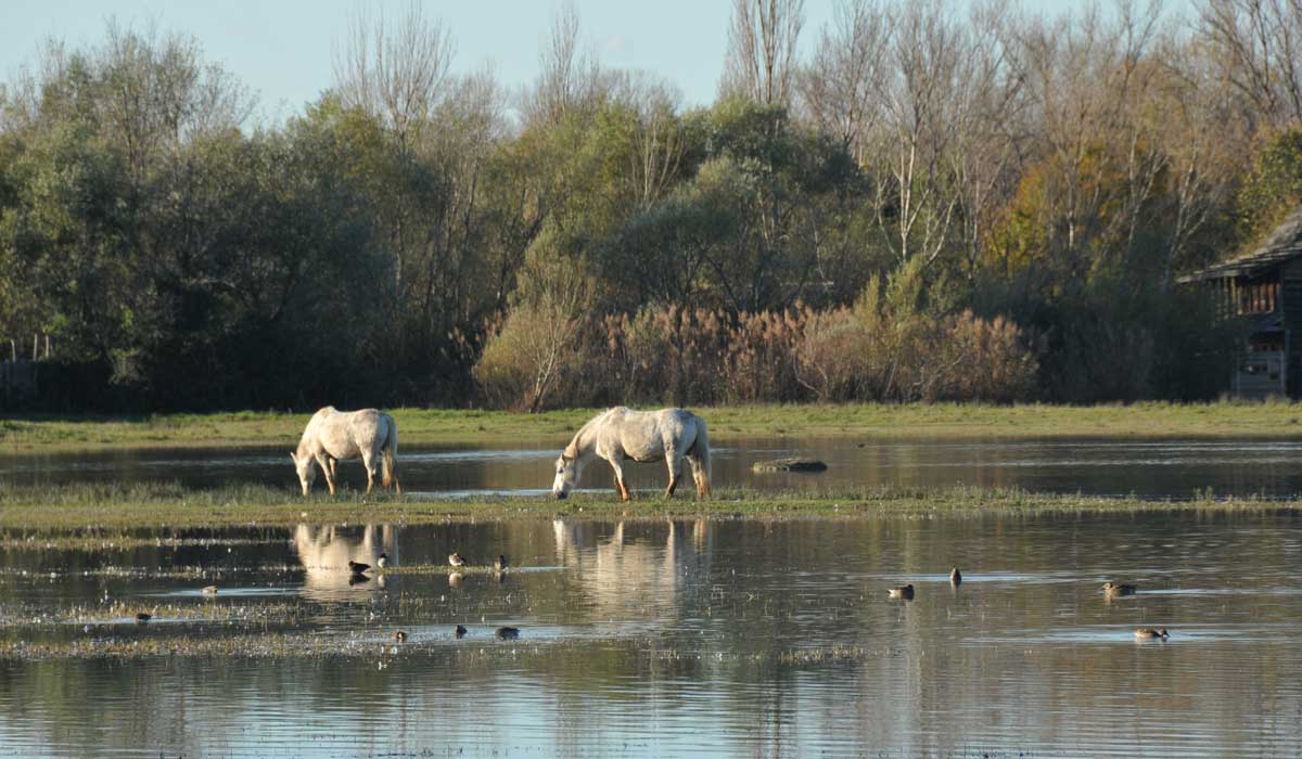 Staranzano - Fahrradtour im Naturreservat Foce dell`Isonzo 