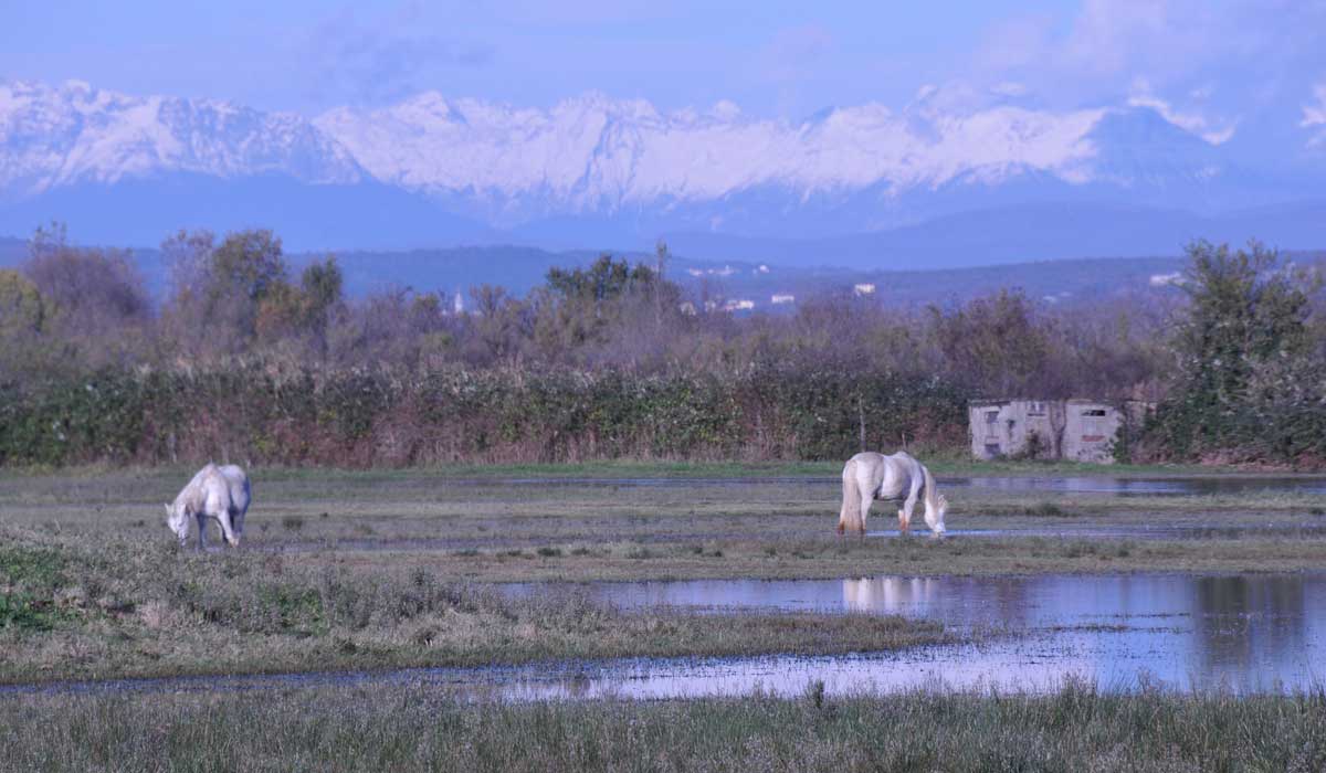 Staranzano - Fahrradtour im Naturreservat Foce dell`Isonzo 