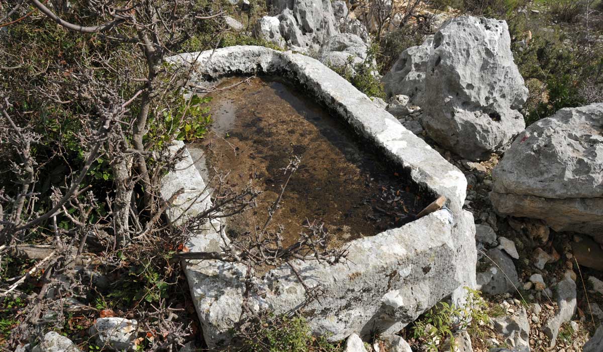 Wandern: Rundweg um die vergessene Stadt am Oymarpinar