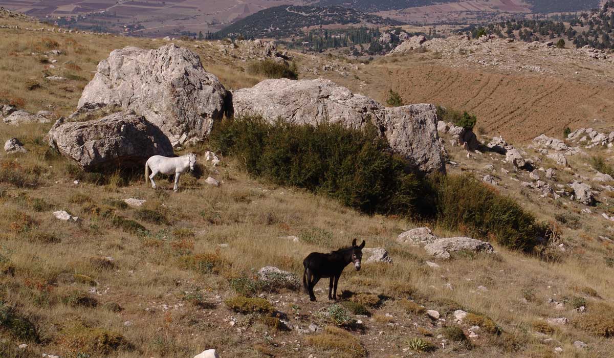 Wandern in der Region Gömbe und zum Ucarsu Wasserfall 