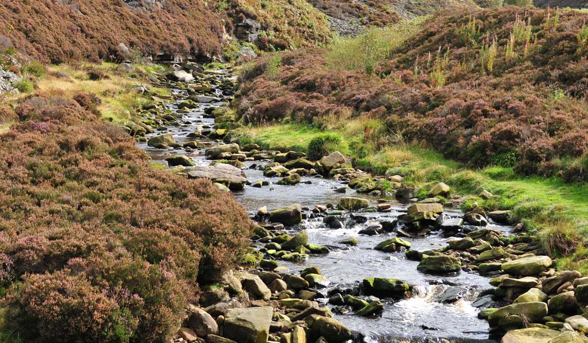 Longdendale Trail – Wanderung auf das Hochmoor 