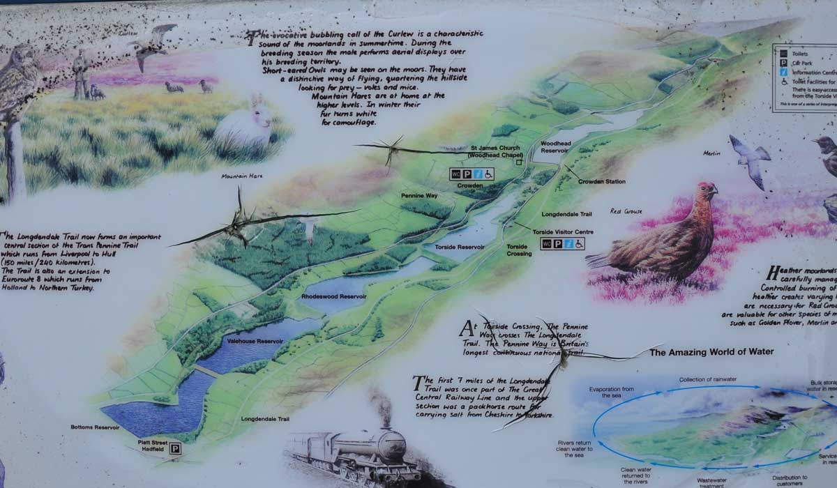 Longdendale Trail – Wanderung auf das Hochmoor 