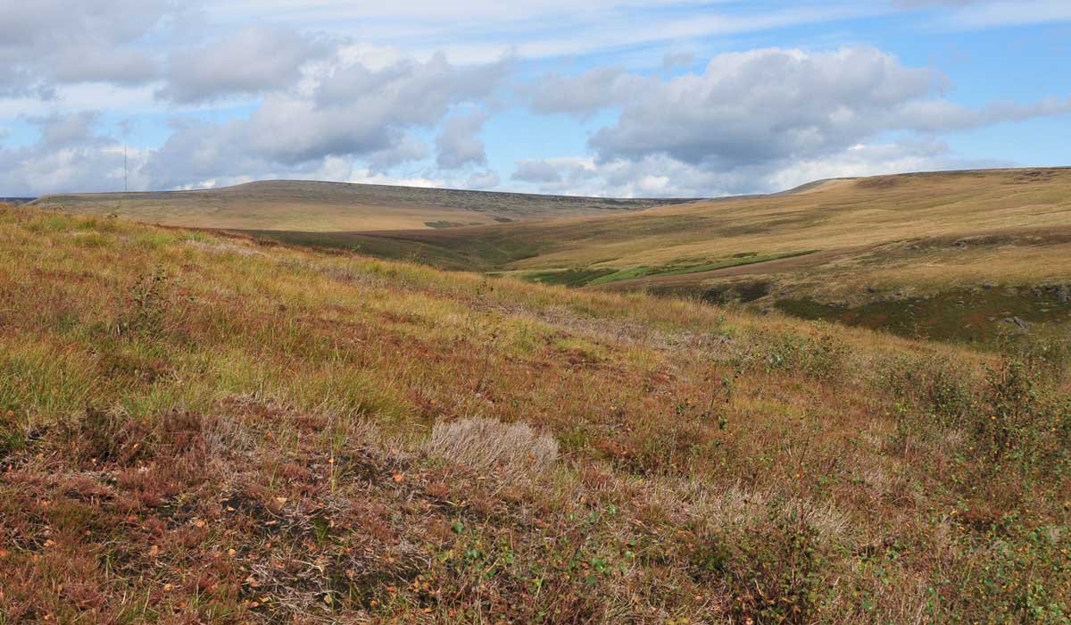 Longdendale Trail – Wanderung auf das Hochmoor 