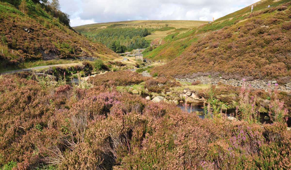 Longdendale Trail – Wanderung auf das Hochmoor 