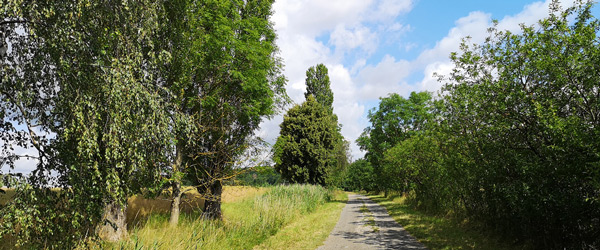 Wanderung entlang des Kaiserwegs von Billroda nach Lossa